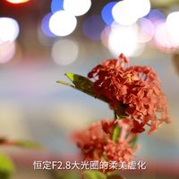 6200买的28-70，一个月后涨回七千多：被全网骂