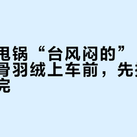 臭味被甩锅“台风闷的”：早秋反季排骨羽绒上车前，先把三步验货做完