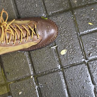 型号好选，尺码难定：翻完全网 20 多组 Danner 实脚数据，三套尺码体系、"EE 标不如红翼 D"这件事一次说清