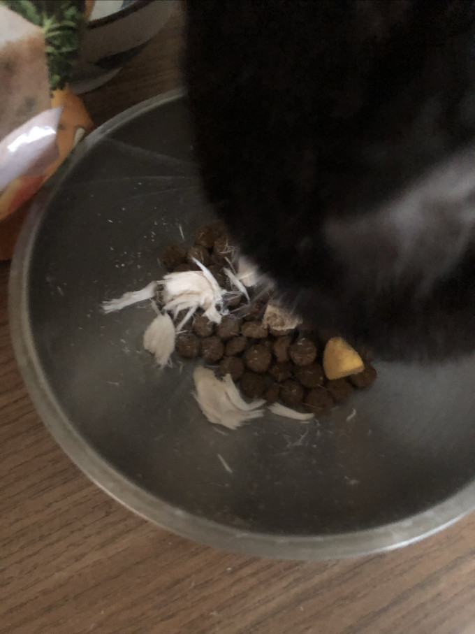 网易天成猫咪零食罐/妙鲜包