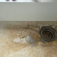 全网劝你上大单槽，入住后想换回双槽的人却越来越多：我对照了8月几十条翻车帖、6种工艺拆解和电商价格带，发现关键根本不是单双，是这3个账