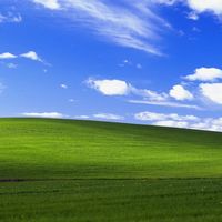 Windows XP 25周年：社区“正式版”都发了、联网还能激活，四条装机路线与三道坑全梳理