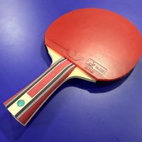 樊A 658元、金标1万3、假货都开始
