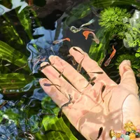 想开三无缸？9月是最后一个窗口：30元材料清单+7种翻车现场，我都替你翻完了