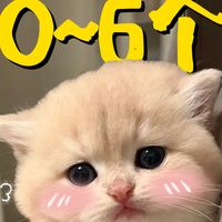 幼猫照护、猫砂避坑 | 养猫9.2日报