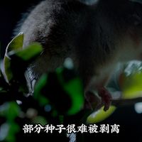 抓绒避坑、R1叠穿 | Patagonia/巴塔哥尼亚9.2日报