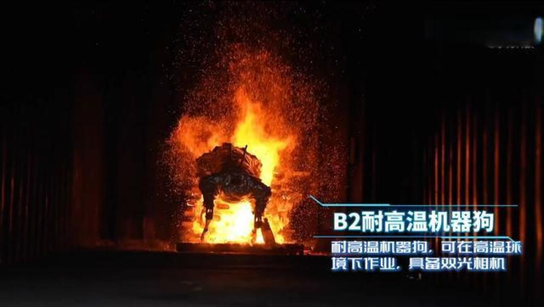 从科技展品变身救援利器 消防机器狗凭借硬核实用价值获赞