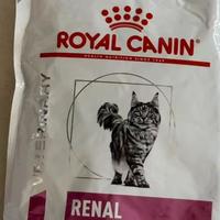 猫查出肾不好，网上的建议全都有道理？先把这本“磷”账算明白