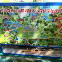 2岁就能下水?别急着心动:捋完今夏40条亲子下水帖,价格、救生衣、红线这三件事先掰扯明白