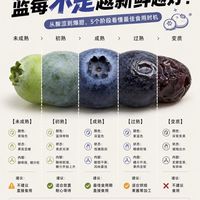 蓝莓不是越新鲜越好‼️5个阶段看懂到底怎么吃