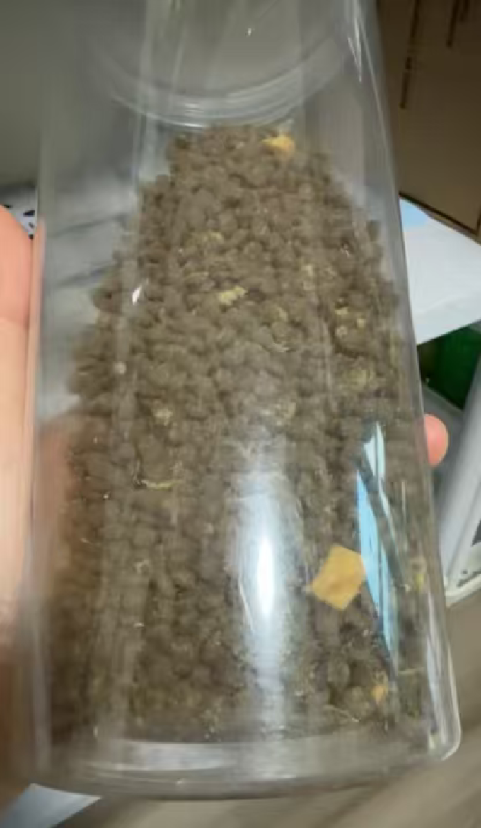 领先猫粮