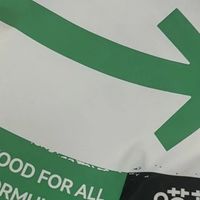 2026年高蛋白猫咪主食冻干盘点，看这篇就够了