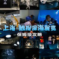 上海触探深海展览攻略🐙好看好听好玩～
