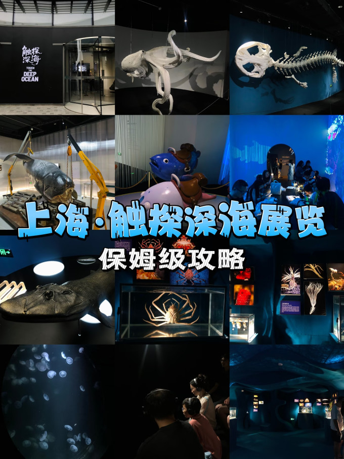 国内度假