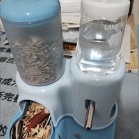 迷你自动喂食器解决上班族喂养难题