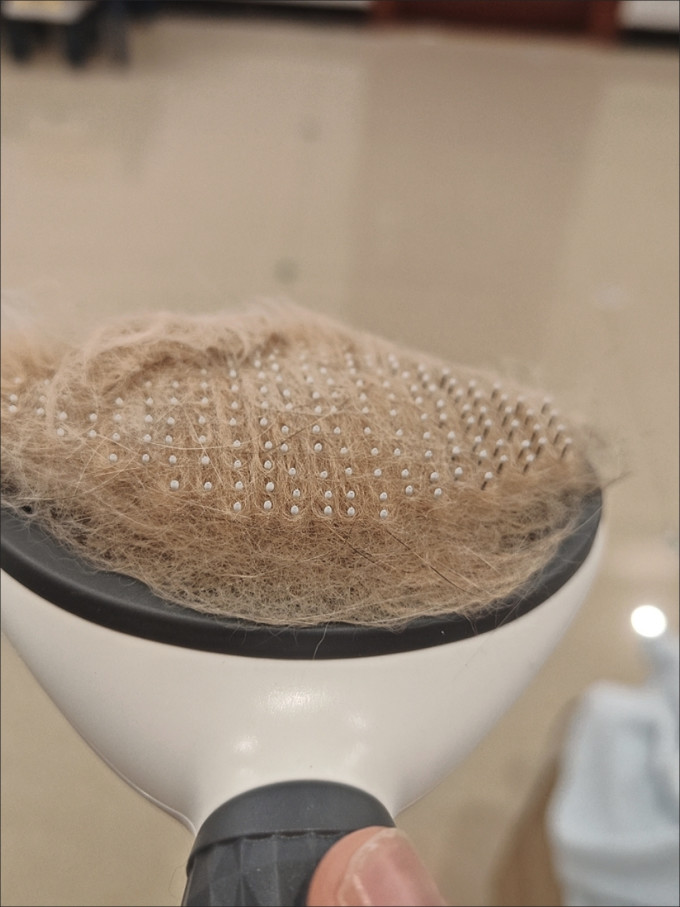 网易严选猫咪湿粮/罐头