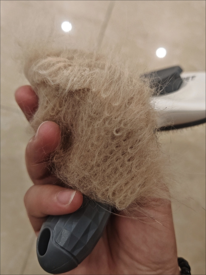网易严选猫咪湿粮/罐头