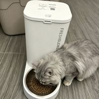 小佩智能喂食器SOLO一周体验|定时定量太省心
