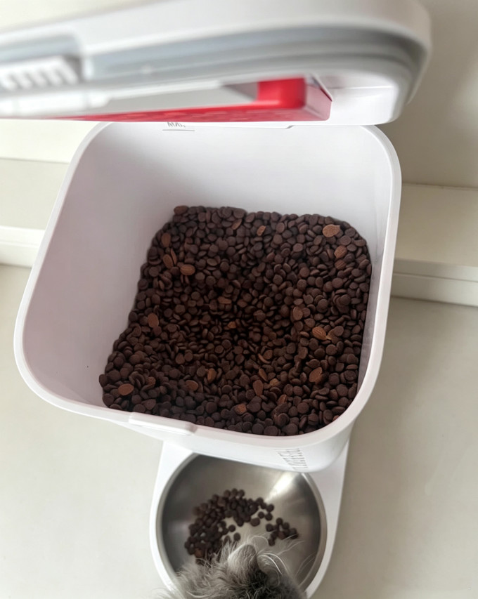 小佩宠物智能喂食器
