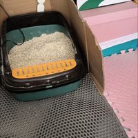 加厚宠物拾便袋实测与评价