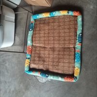宠物降温冰垫的实用评测
