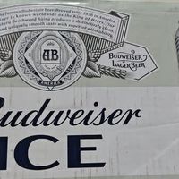 百威ICE冰啤实测：下班微醺体验