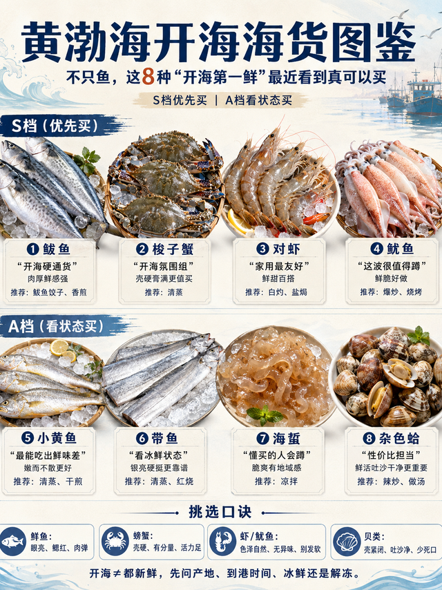 黄渤海开海了，这8种海货最近真值得买
