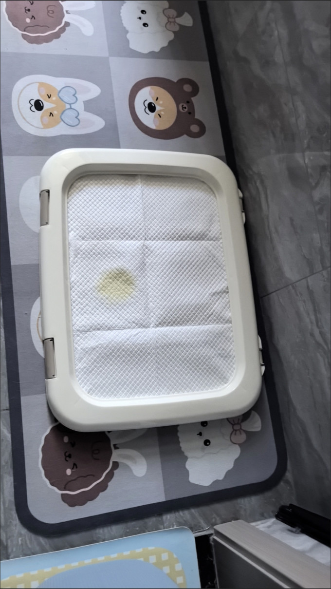 网易严选猫咪湿粮/罐头