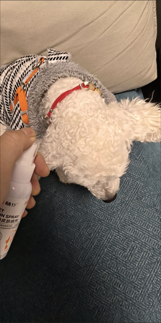 网易严选猫咪湿粮/罐头