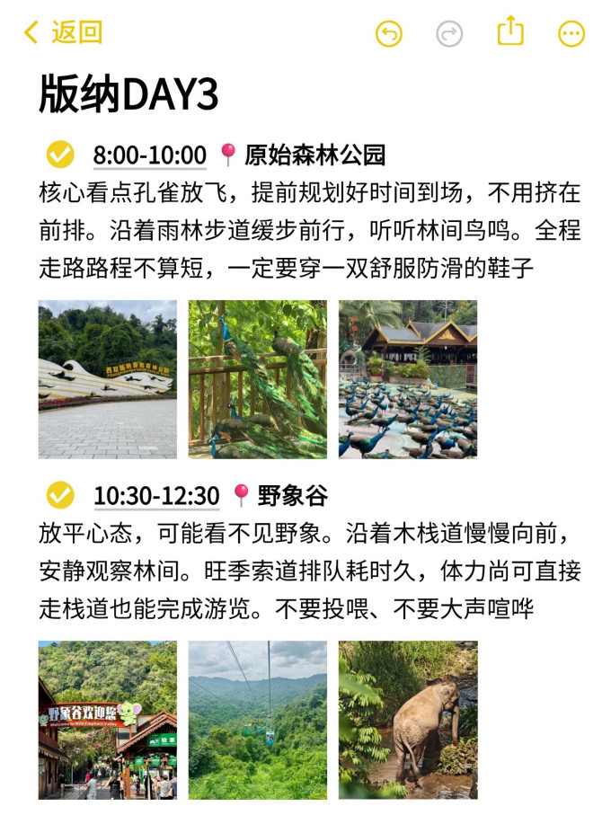 国内度假
