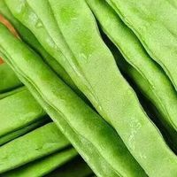干煸四季豆