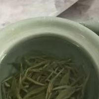 贵如金的明前春🍃2026蒙顶甘露！早春第一口山野鲜