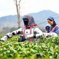 李飞飞团队Atlas模型发布,几张照片直接生成1440p电影级运镜视频