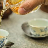 茉莉花茶买什么牌子的好？这8款送礼可以闭眼选 颜值与口感双在线