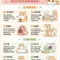 科学喂养与护理延长猫咪寿命