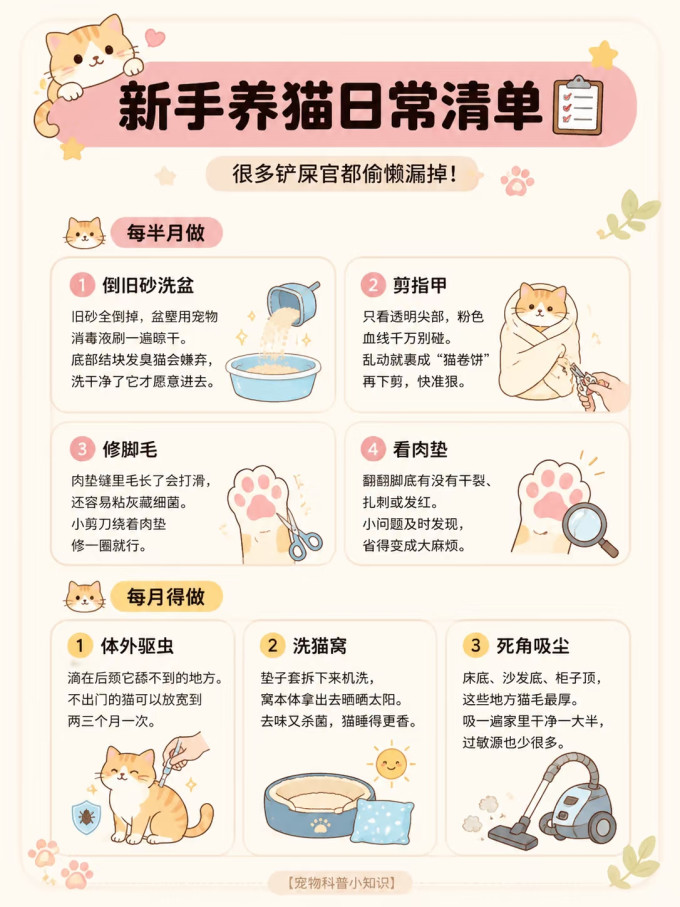 猫咪