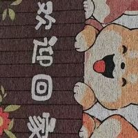 耐踩耐磨丝圈地垫超实用