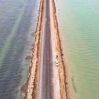 染后发色怕跑的上班族锁色护发精油清单：光泽和热保护都要看