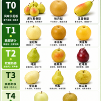 入秋了，嗓子干、皮肤紧，吃梨润肺是共识。