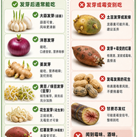发芽的食物哪些能吃哪些不能吃，别再一发芽就扔