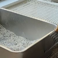 养猫臭别硬扛！6 款除臭猫砂实测，多猫家庭也能用