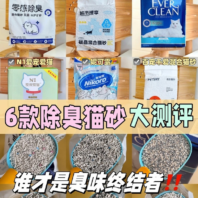 养猫臭别硬扛！6 款除臭猫砂实测，多猫家庭也能用