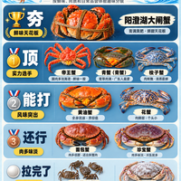 螃蟹从夯到拉排行榜,你爱吃的排第几层?