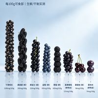 🫐花青素含量TOP8水果！护眼抗氧看这份

深色水果藏着满满的营养