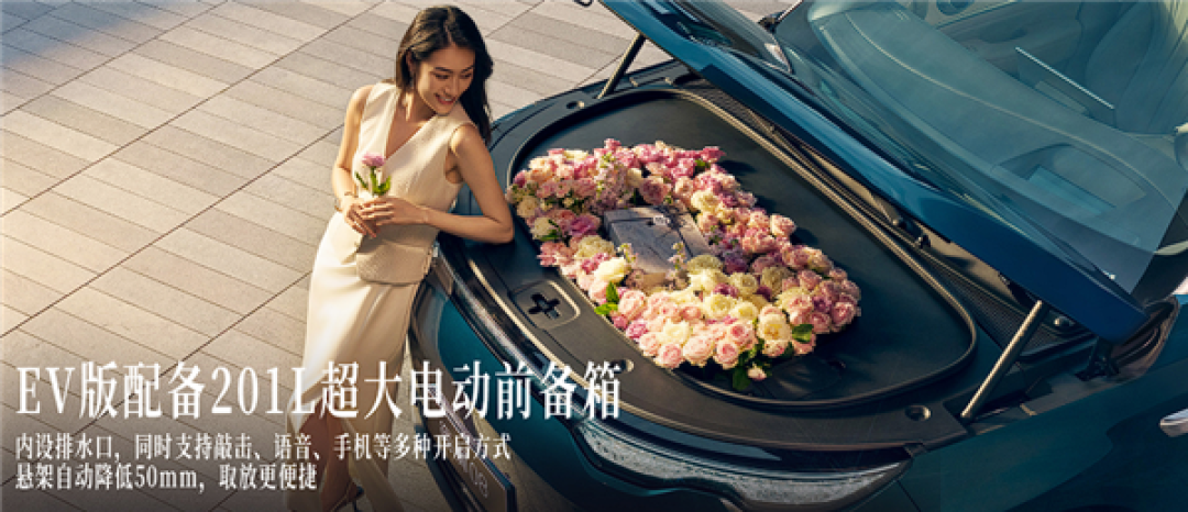 22.99万起 比亚迪海洋网旗舰六座SUV海狮08上市