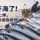 黄渤海开海了!鲅鱼带鱼刚上岸,这份辨鲜手册请你收好