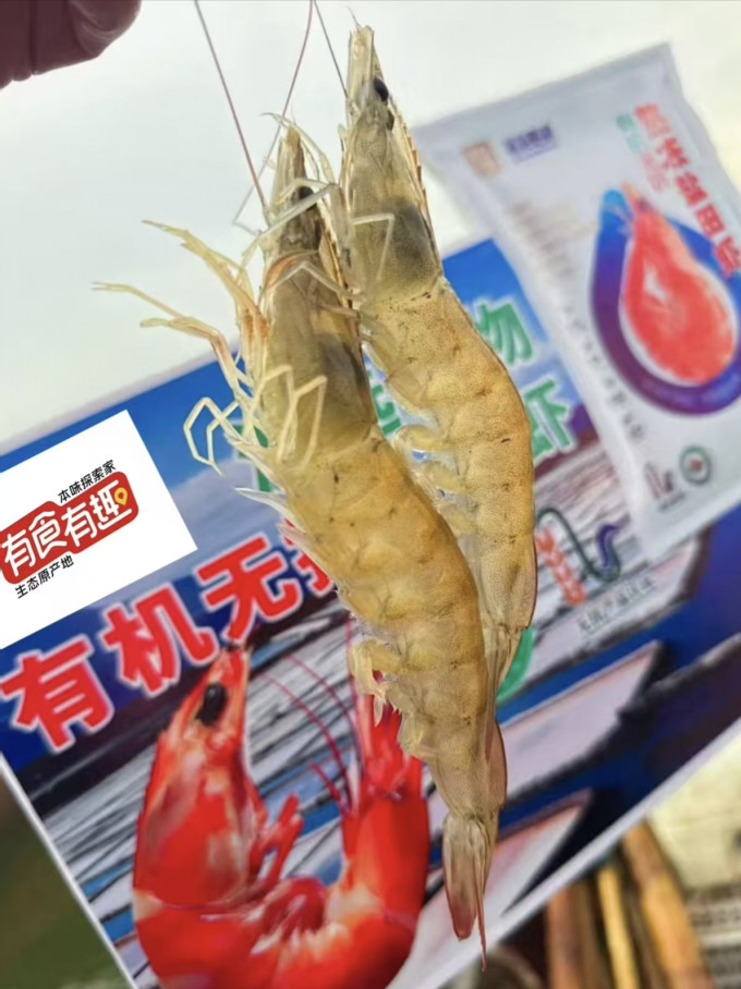 1号会员店虾类