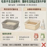 毛孩子生活说明书：窝垫实测与平替