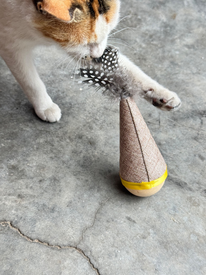 猫玩具