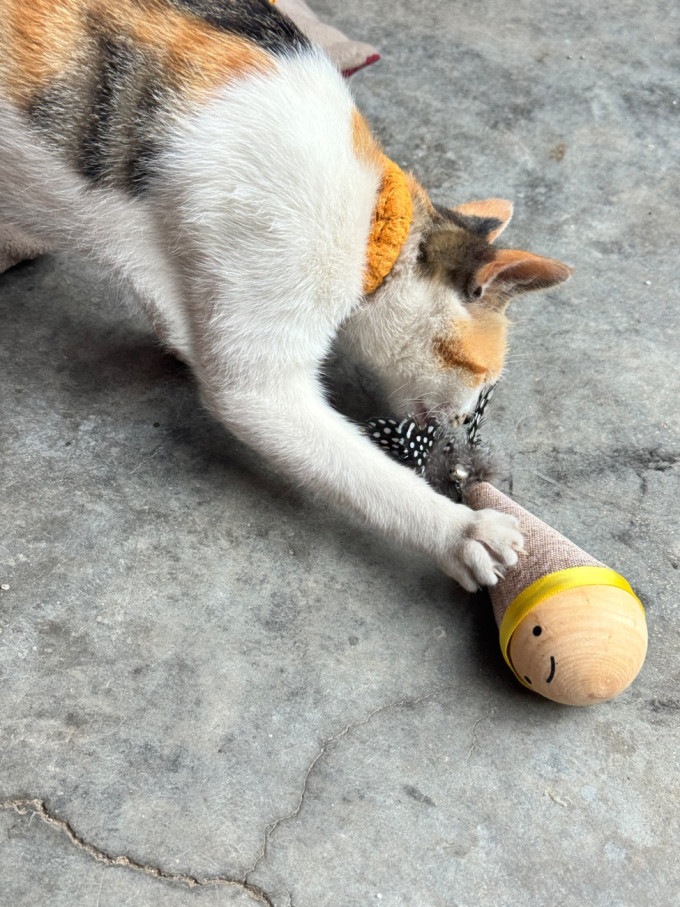 猫玩具